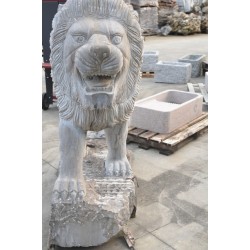 Leone in Pietra